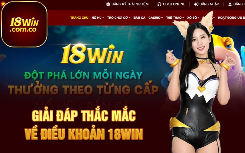 Giải đáp thắc mắc về điều khoản 18Win 