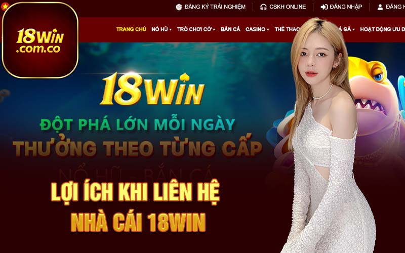 Lợi ích khi liên hệ nhà cái 18Win