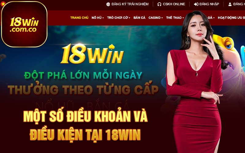 Một số điều khoản và điều kiện tại 18Win 