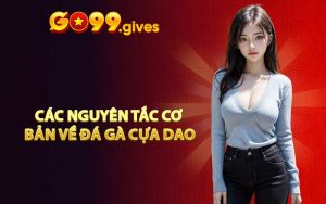 Các nguyên tắc cơ bản về đá gà cựa dao