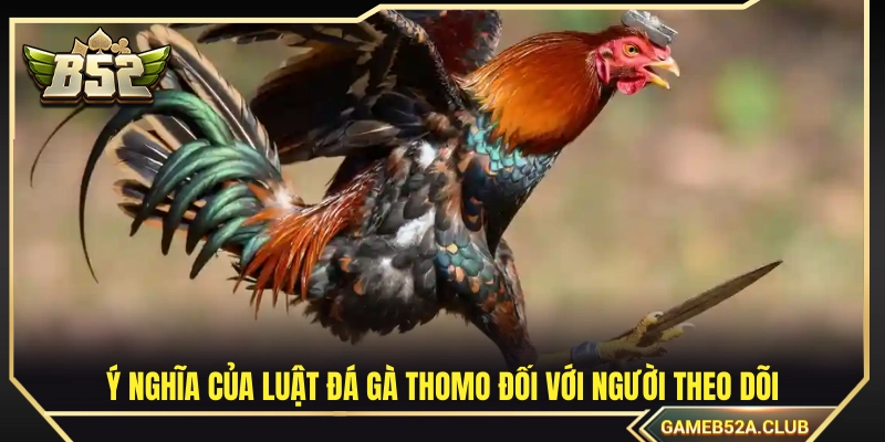 Vai trò của luật chơi trong việc đảm bảo tính minh bạch