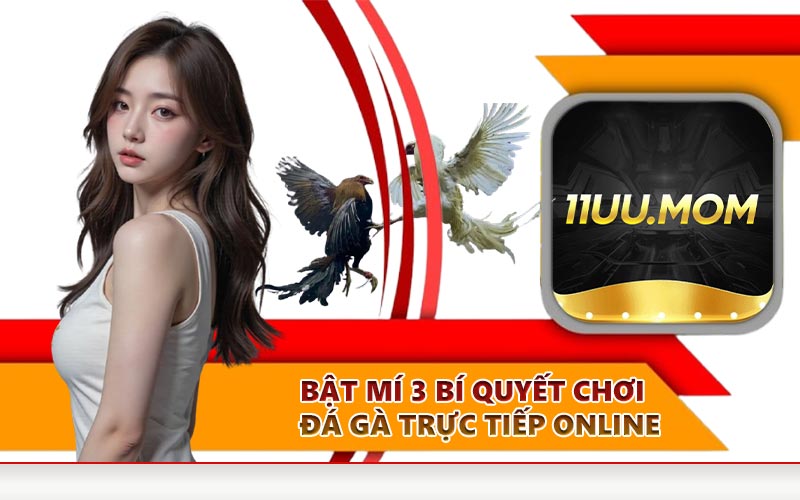 Bật mí 3 bí quyết chơi đá gà trực tiếp online