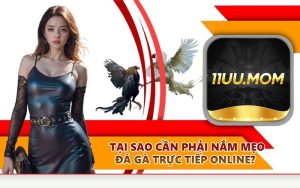 Tại sao cần phải nắm mẹo đá gà trực tiếp online?