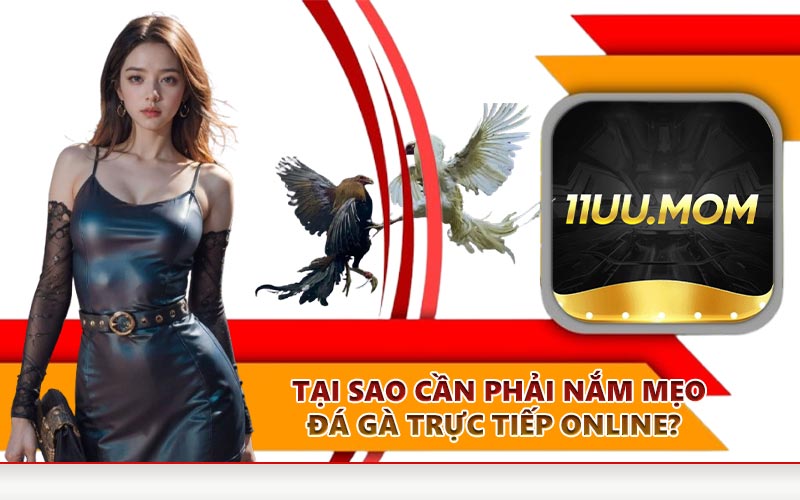 Tại sao cần phải nắm mẹo đá gà trực tiếp online?